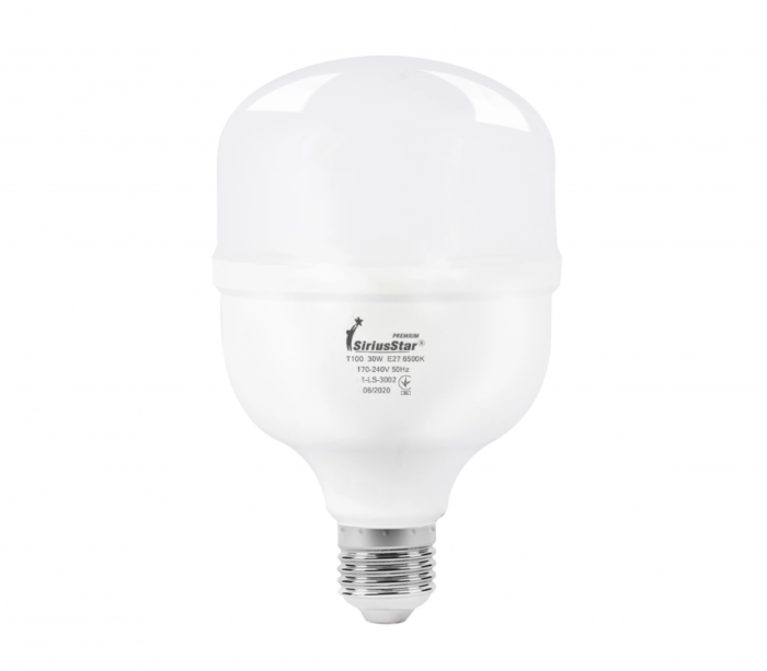 LED лампа Sirius 1-LS-3002 Т100-30W-6500K-E27